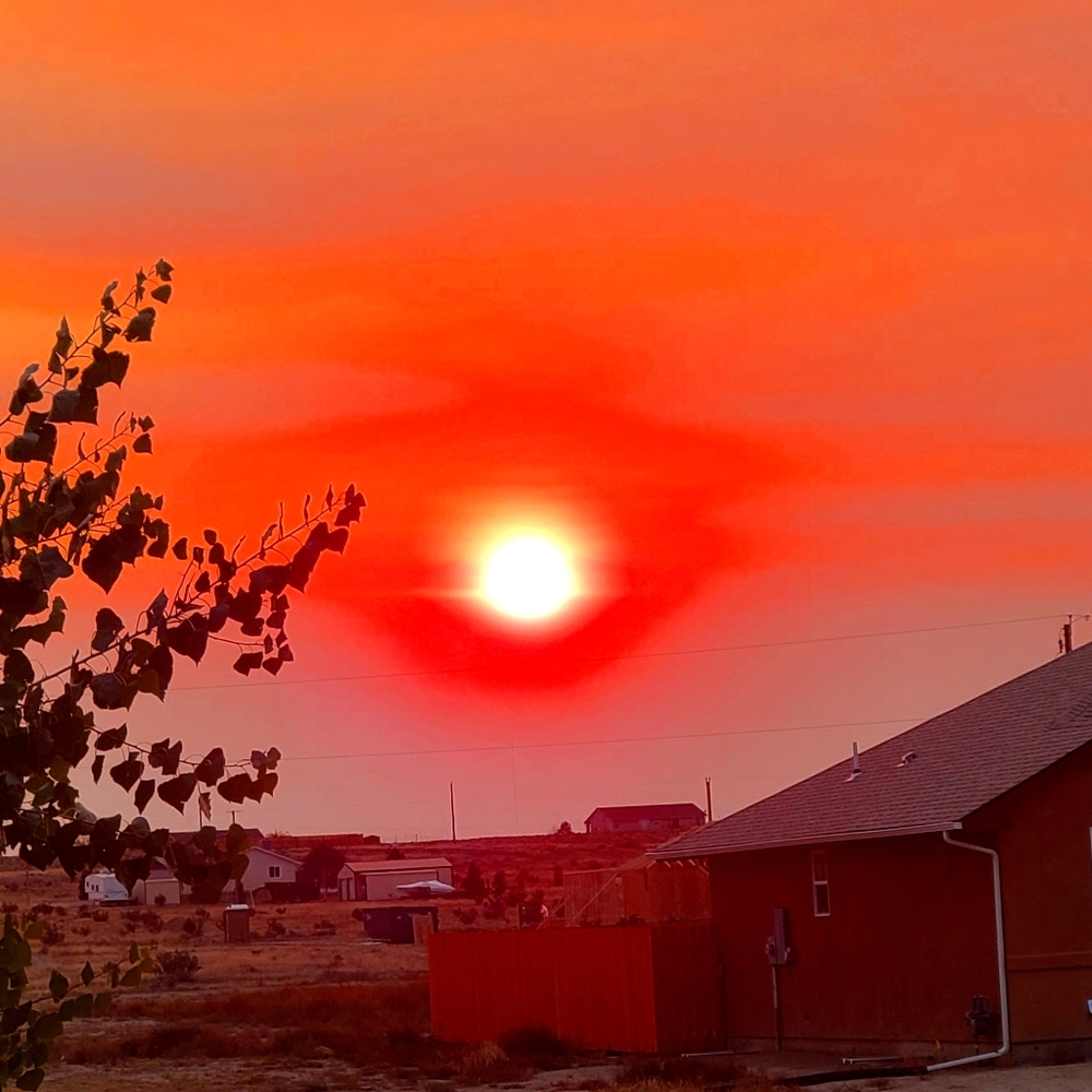 Listing for Seriouslysavvy